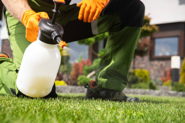 Best Flea Control Services  in Roselawn, IN