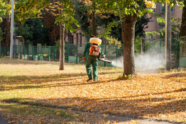 Best Affordable Pest Control Services  in Roselawn, IN