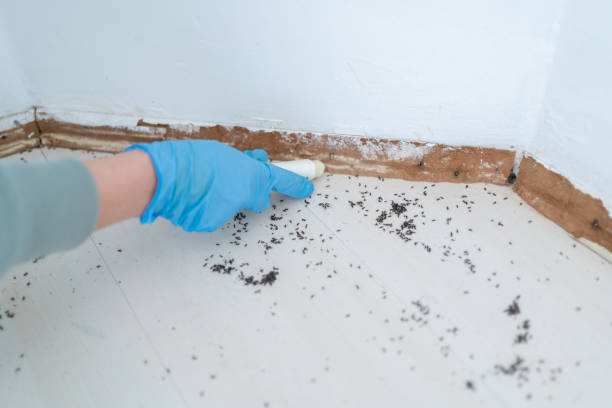 Best Pest Inspection Near Me  in Roselawn, IN